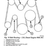 06 Cummins Belt Diagram Find Here Aseplinggis