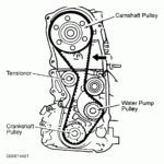 1995 Kia Sportage Serpentine Belt Routing And Timing Belt Diagrams