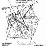 2003 Honda Accord V6 Serpentine Belt Diagram Hanenhuusholli