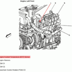 2003 Trailblazer Serpentine Belt Diagram Nakayoshi Grupo Peru