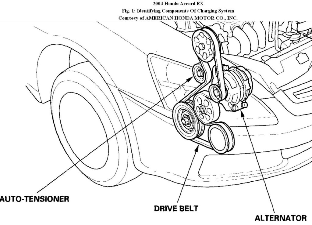 2010 Honda Accord 24 Serpentine Belt Diagram Belt Poster