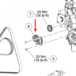 5 5 Liter Engine Belt Diagram Ford Escape Diagram Ford