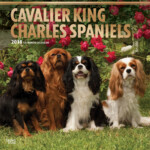 Cavalier King Charles Spaniels DogDays 2023 Calendar And Puzzle App