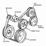 Ford 351 Serpentine Belt Diagram Timing Belt Serpentine Drive Belt