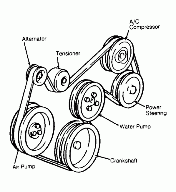 Ford 351 Serpentine Belt Diagram Timing Belt Serpentine Drive Belt 