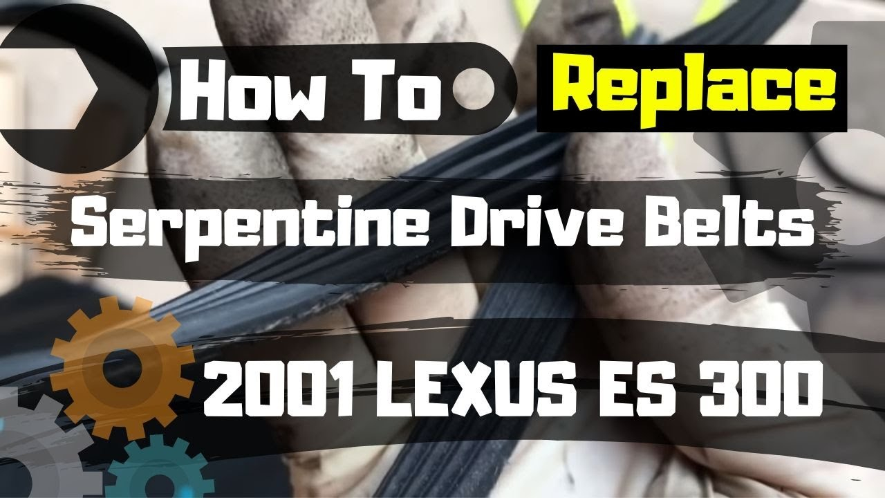 How To Replace Serpentine Drive Belts 2001 LEXUS ES 300 YouTube