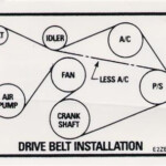 Mustang 302 Drive Belt Decal 82 84 LMR