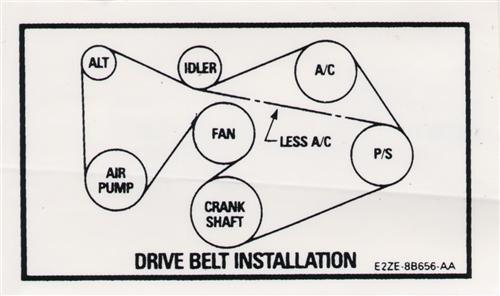 Mustang 302 Drive Belt Decal 82 84 LMR