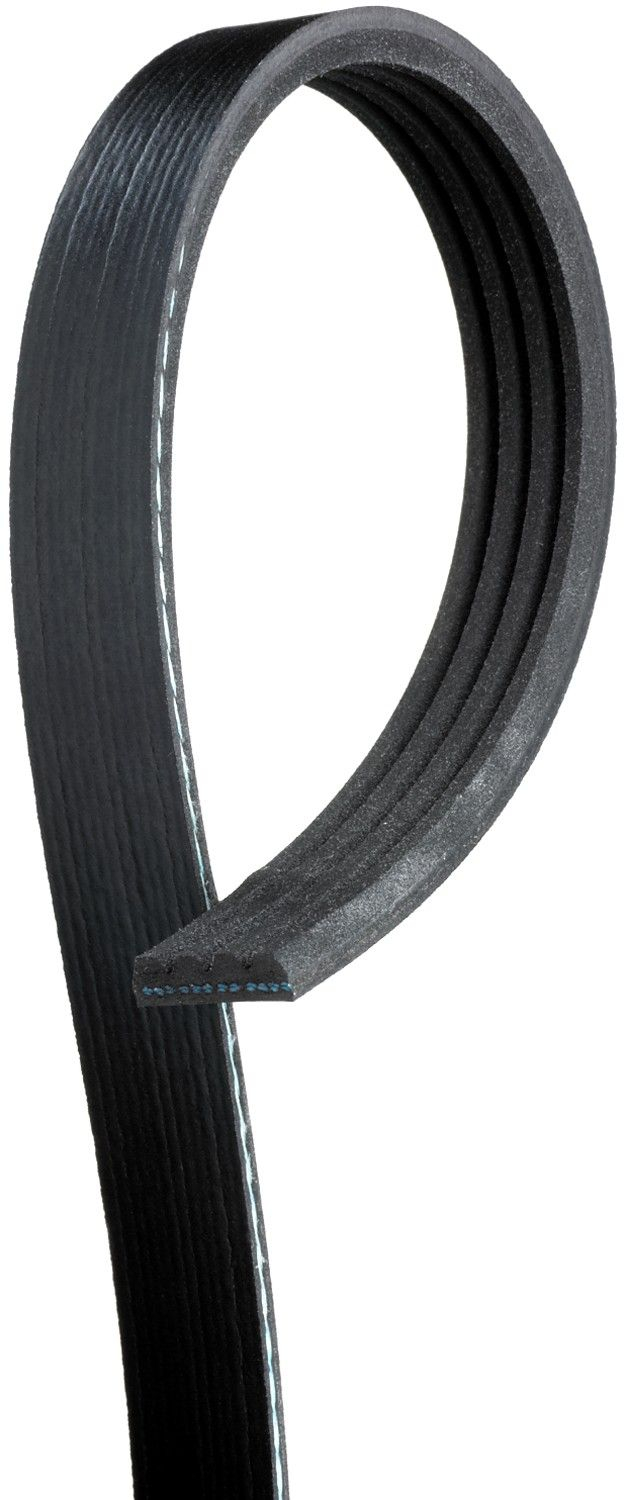 Suzuki Grand Vitara Serpentine Belt Replacement Bando CRP Dayco